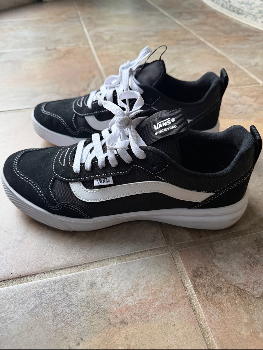Vans Black & White Skate Sneakers with White Side Stripe